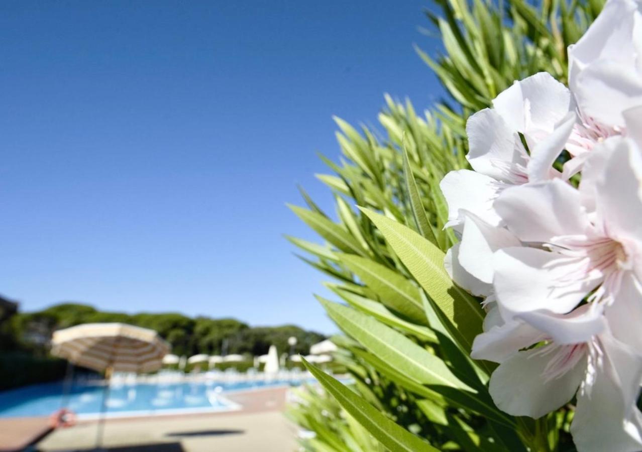 Isa-Apartments 4 Beds In Residence With Swimming-Pool In San Vincenzo, Just 600 Meters From The Sea Exterior foto